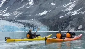 View the glaciers of Glacier Bay from a kayak
