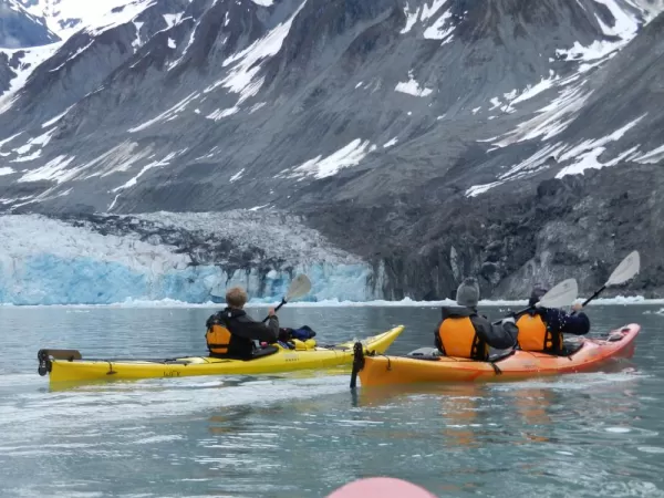 View the glaciers of Glacier Bay from a kayak