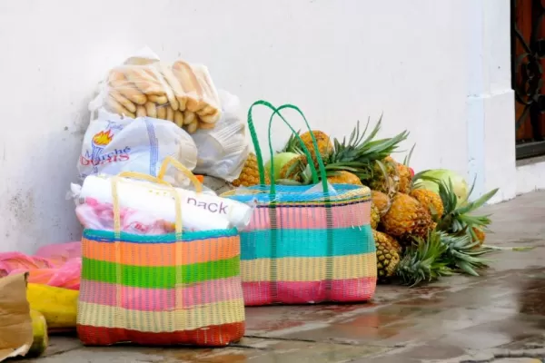 Sacks of groceries including a pile of pineapples sit on the ground.