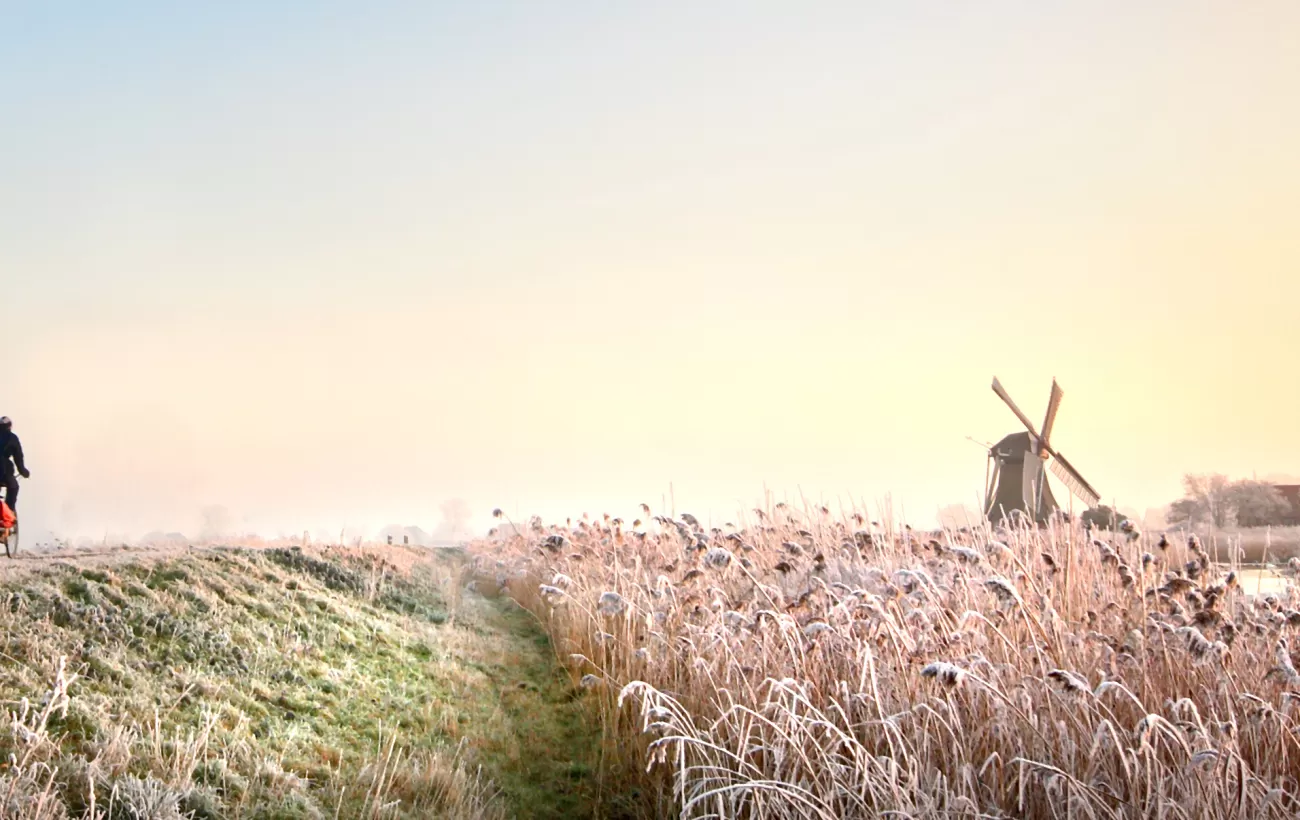 Bicyclist riding through a field in Holland