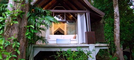 Oxygen Jungle VIllas