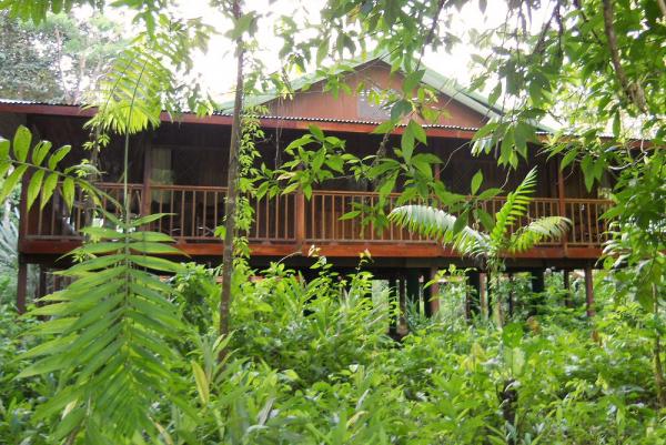 Selva Verde Lodge - Our Costa Rica tours offer a wide range of ...