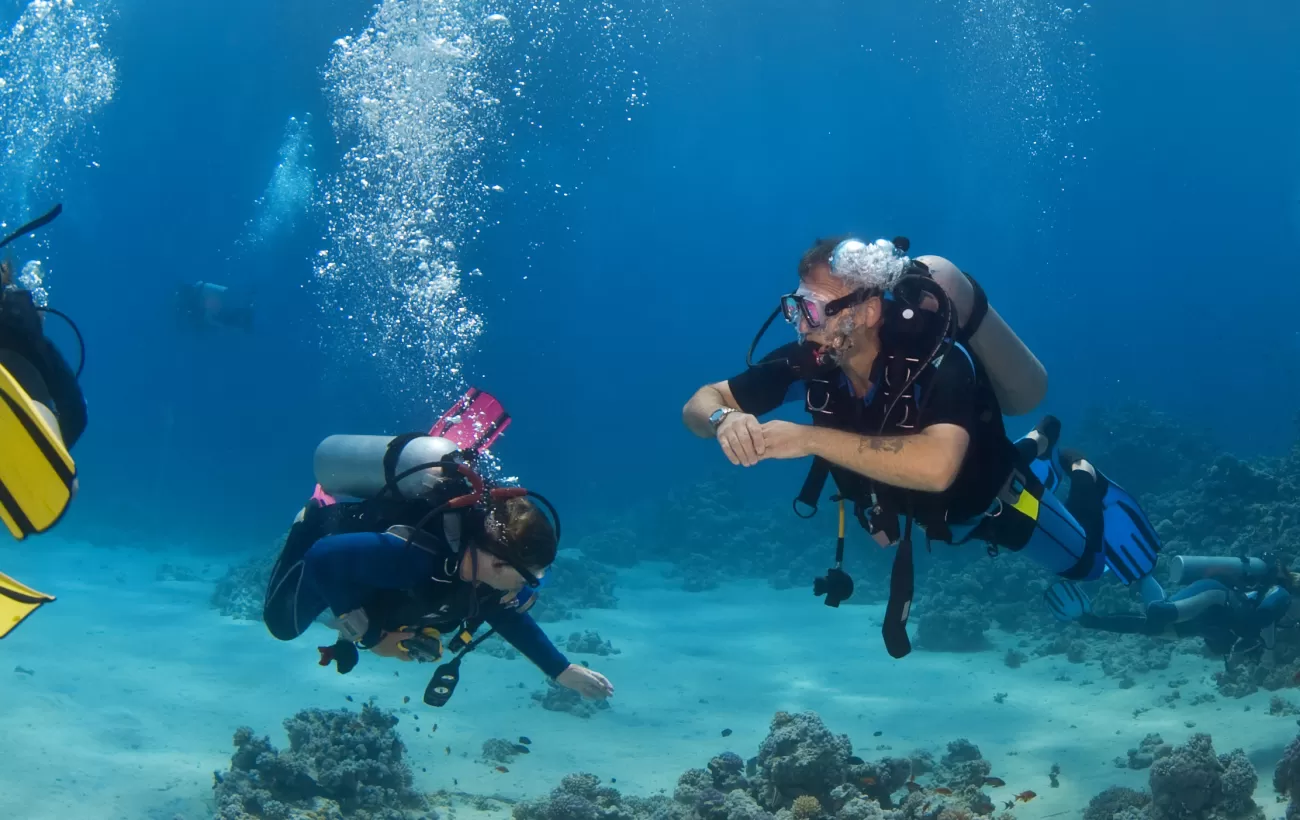 Scuba diving in the reefs