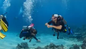 Scuba diving in the reefs