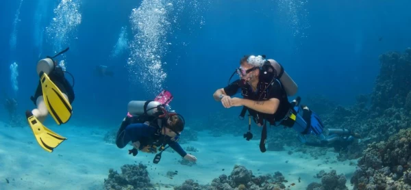 Scuba diving in the reefs