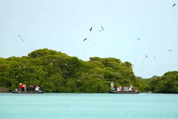 Zodiac to experience the pristine waters and abundant wildlife of Aldabra