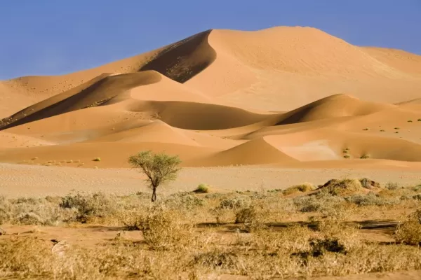 The expansive dunes of the Namib Desert