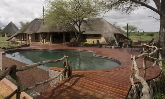 Relax in the pool at the Okonjima Bush Camp