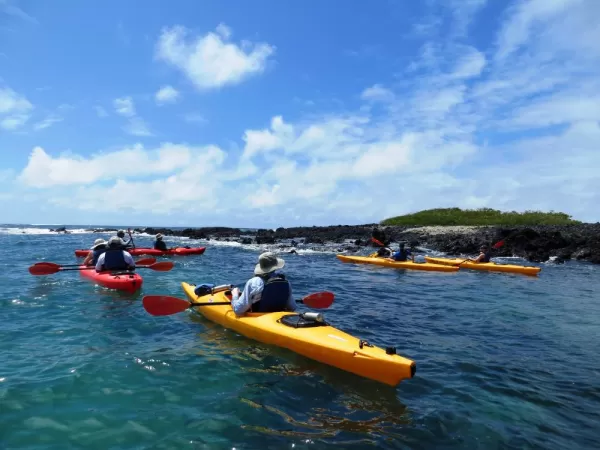 Enjoy seeing the beauty of these islands on an exciting kayak trip.