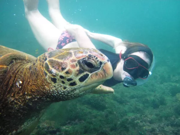 Swimming side by side with an amazing sea turtle.