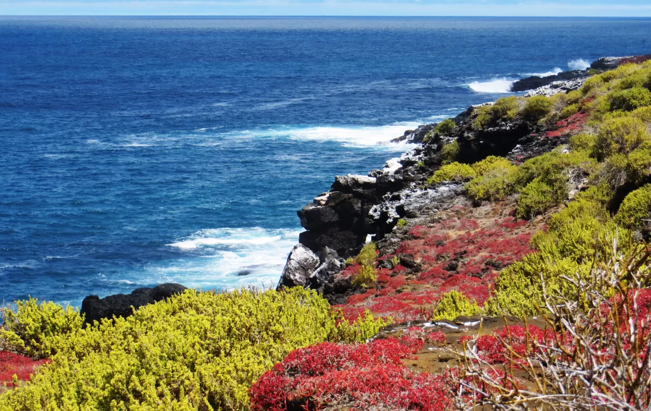 The beautiful colorful shores of the Galapagos.