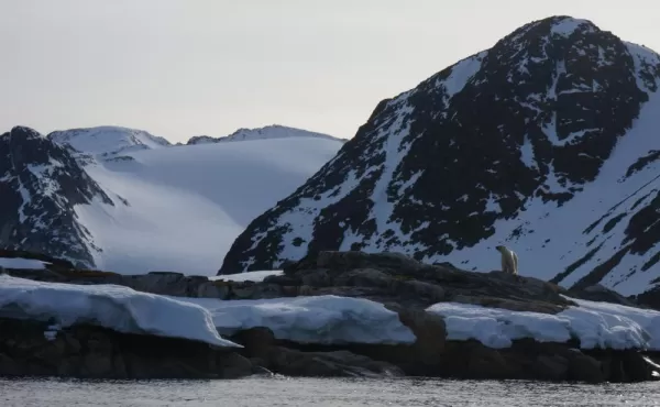 Admire the passing Arctic landscape