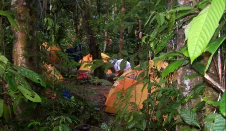 Tents in the Amazon