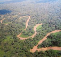 Amazon river from the airplane