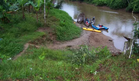 Our kayaks along the Amazon