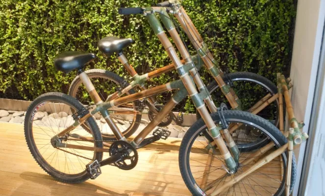 Take a ride on these bamboo cycles.