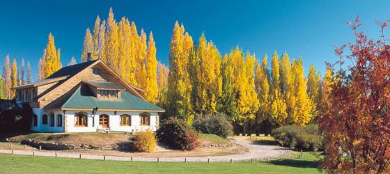 The beautiful grounds in fall