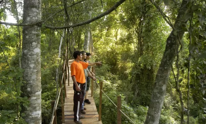 Take a walk through the woods on convenient boardwalks