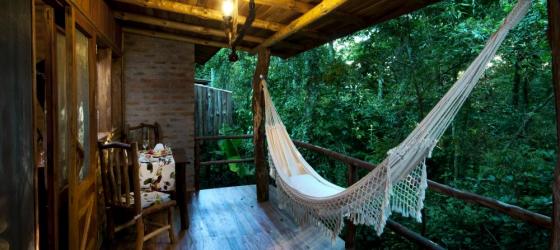 Enjoy complete relaxation in a hammock