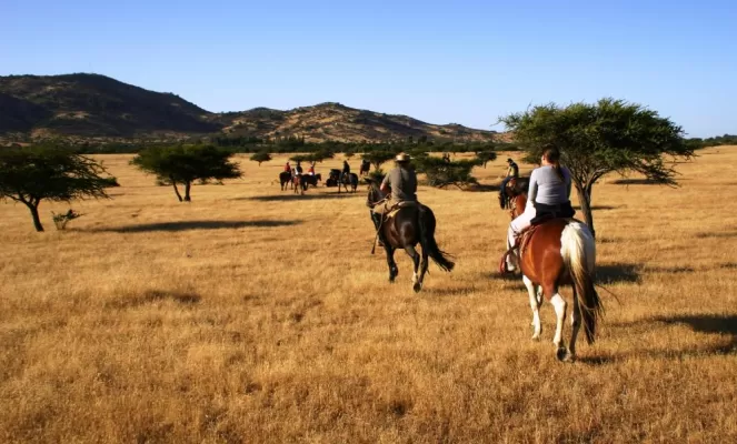 Enjoy a countryside horseback ride