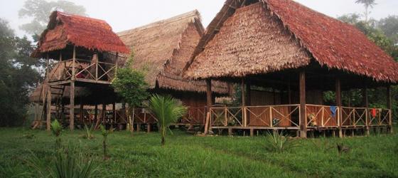 Tambo Patiti Jungle Lodge