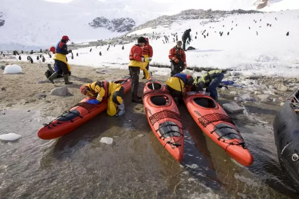 Travlers prepare to kayak while penguins look on