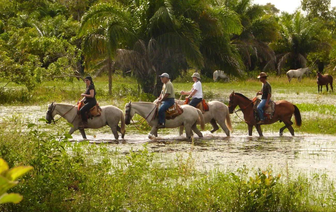 Enjoy the grounds of Araras EcoLodge on horseback