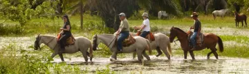 Enjoy the grounds of Araras EcoLodge on horseback