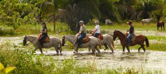 Enjoy the grounds of Araras EcoLodge on horseback
