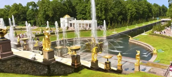 View the magnificent gardens at the Peterhof Palance in St. Petersburg