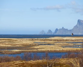 The stunning fjords of Norway