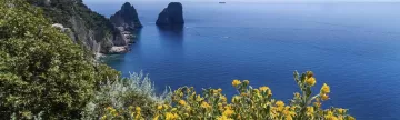 Sail around the beautiful Italian island of Capri