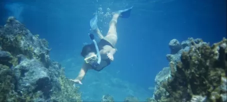 Snorkel the vibrant reef system in the pristine atolls
