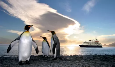 Penguins pose in front of the Sea Spirit