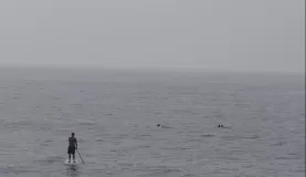 Stand-up paddleboarding in Hawaiian waters