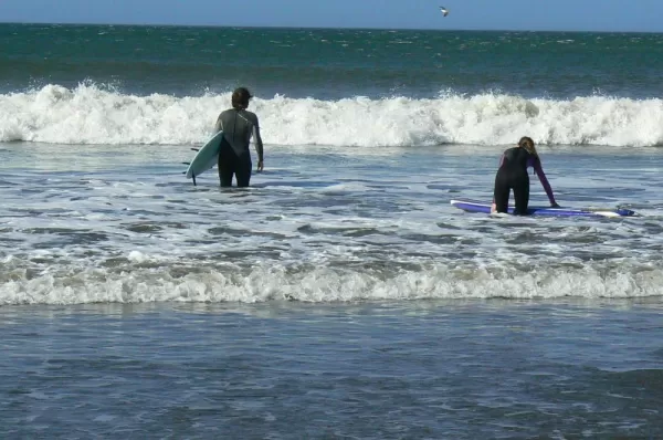 Learning to surf at Soma