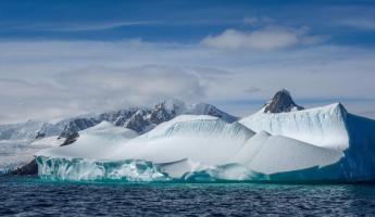 Wildlife Guide to Polar Regions - Adventure Life Travel Articles