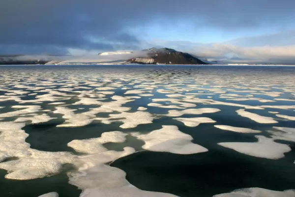 Explore the mysterious and beautiful Arctic seas on your voyage