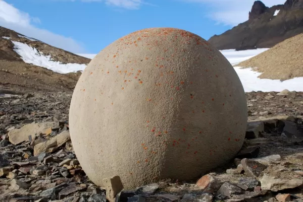 Journey to Franz Josef Land to see the unique, perfectly spherical stones that dot the landscape