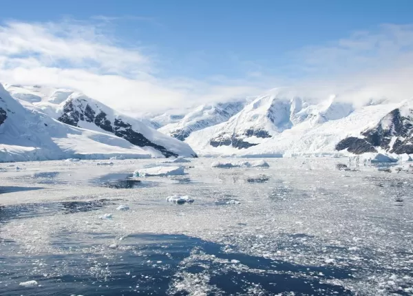Icebergs reflected in Antarctica's Paradise Bay