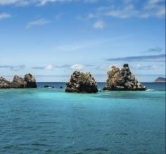Snorkel the crystal, warm waters of the Galapagos archipelago