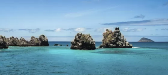 Snorkel the crystal, warm waters of the Galapagos archipelago 
