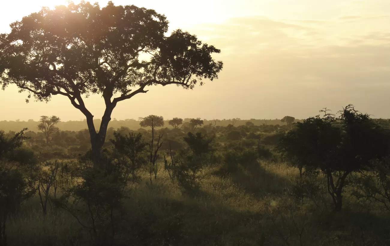 The sun sets over Kruger National Park