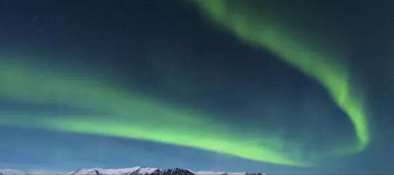 The northern lights dance over the Arctic landscape