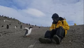 Barrientos Island: The penguins loved approaching my brother!