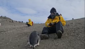 Barrientos Island: More penguin attention with my brother