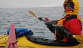 First kayaking day at Half Moon Island. It was cold and snowing thick, wet snow. BRR!