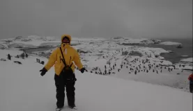 Joined my brother on Petermann Island and saw LOTS of Gentoo penguins.