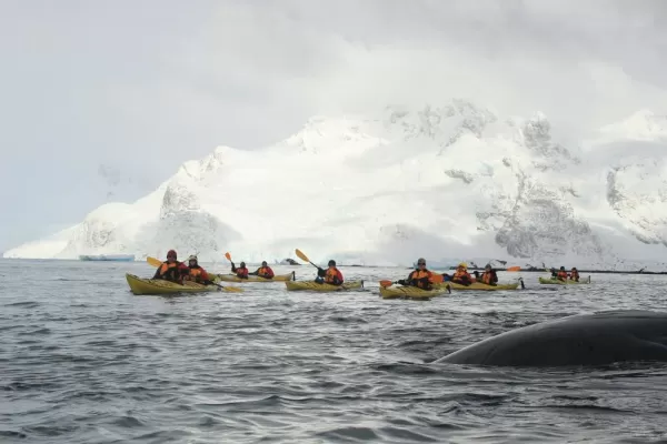 Team Kayak!