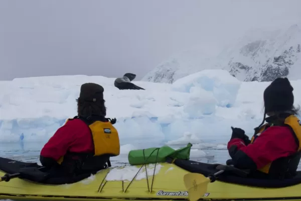 Spotted our first leopard seal of the trip in Skorntorp Cove!